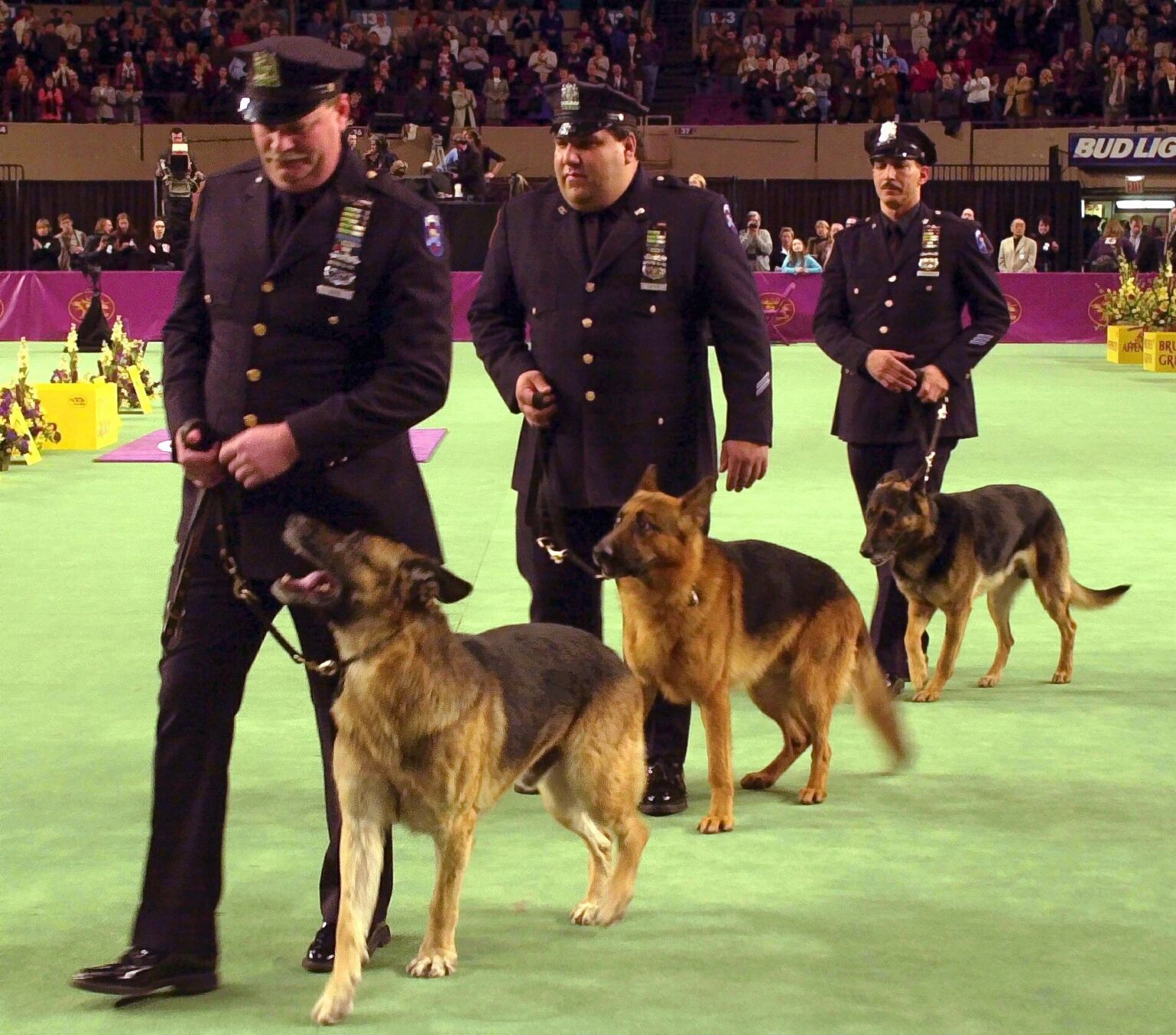 Westminster Dog Show Memories